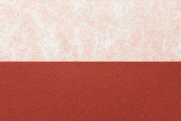 雲龍模様の和紙と赤茶色の紙