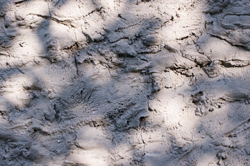 Abstract leaves  shadow background with light bokeh, natural leaves tree branch falling on texture for background and wallpaper, nature shadow.
