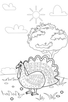 Farm animals coloring book educational illustration for children. Cute turkey, rural landscape colouring page. Vector black white outline cartoon characters