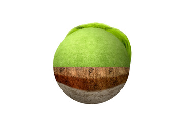Underground soil layer of cross-section earth with meadow on the top