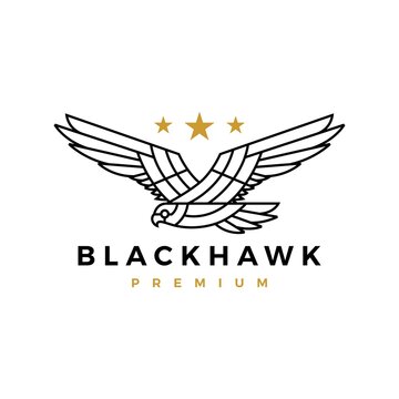 black hawk eagle monoline flying roar star logo vector icon illustration