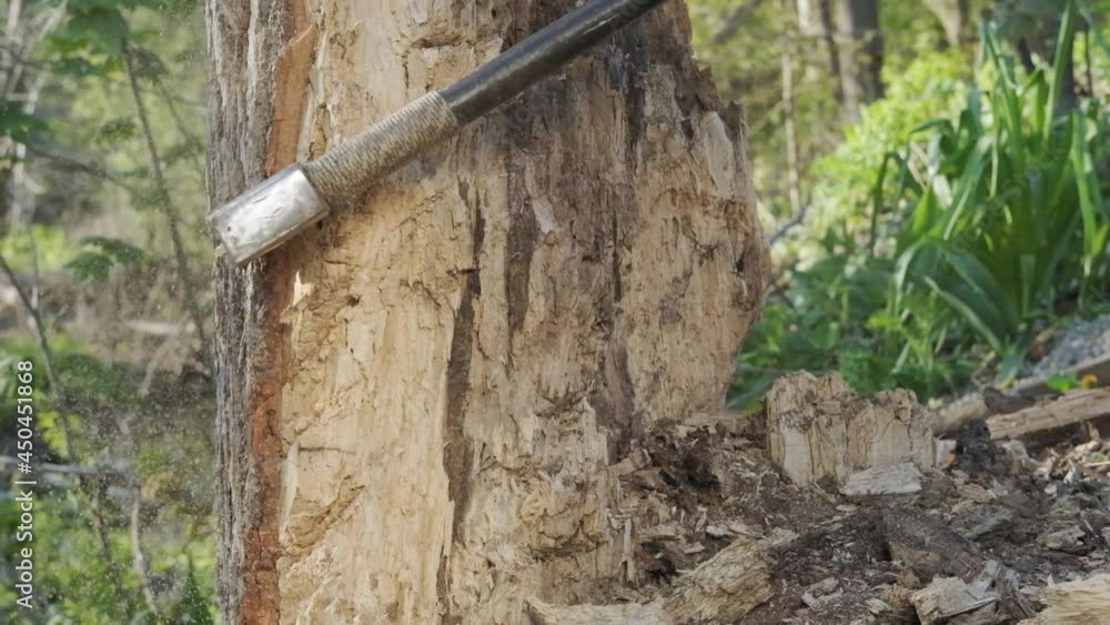 Poster a large tree being chopped at by an axe