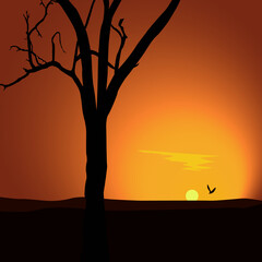 sunsetLandscape with sunset Silhouette of a tree in the looming darkness.