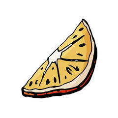 Dried orange hand drawn illustration isolated on white background.