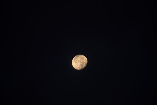 View of the moon in the sky during the night