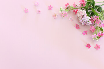 Fototapeta na wymiar Top view image of pink flowers composition over pastel background .Flat lay