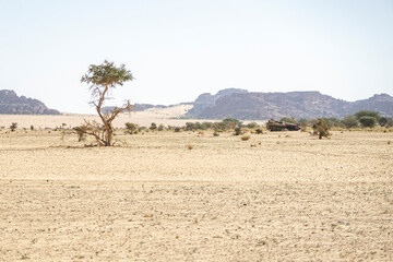 Abandoned military tank in the desert, Chad, Africa