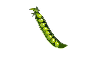 Vector illustration peas isolated on white background 