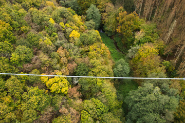 Beautiful colorful trees under a cable on the Geierlay Suspension bridge near Morsdorf, Germany on a fall day.