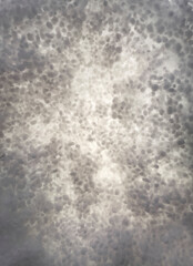 fluffy and soft background white background