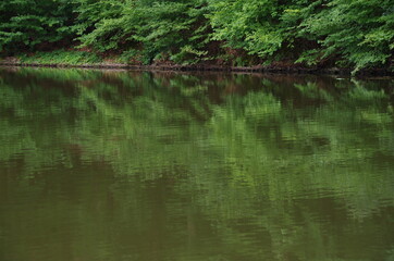 Natur