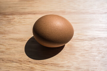 One whole brown chicken or animal egg on a wooden background