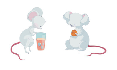 Cute funny mouse characters set. Lovely little mice activities cartoon vector illustration