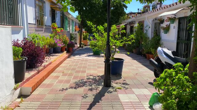 Orange trees and beautiful flowers in a typical little narrow Spanish street with houses in Marbella old town Spain, sunny day and blue sky, 4K tilting up