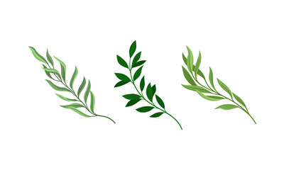 Tree branches with fresh green leaves set. Twigs of different trees cartoon vector illustration