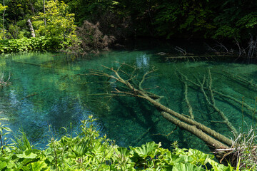 Beautiful landscape in the Plitvice Lakes National Park in Croatia