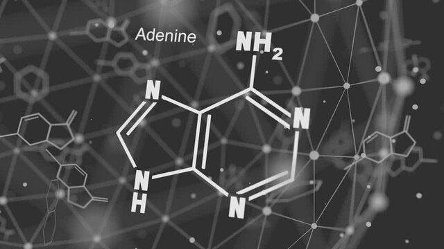 Chemical structural formula of adenine - DNA and RNA nitrogen base