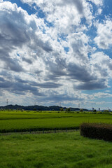 Fototapeta na wymiar 青空と雲と田んぼの風景