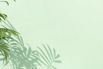 Decorative hamedorea or Areca palm in the sun against the background of a pastel green wall. The shadow of the leaves of the plant on the wall. Home gardening concept. Selective focus