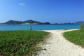 気持ちの良い朝の海