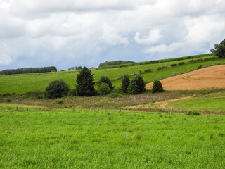 Obraz premium landscape of region in luxembourg