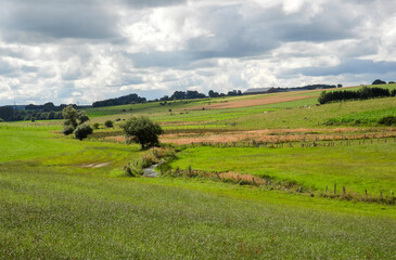 Fototapeta premium rolling landscape with stream and cloudy sky 