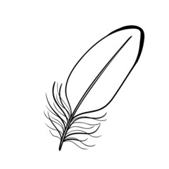 A bird's feather. Black outline of a bird's feather close-up on a white background. Vector graphics. Material for printing on paper or fabric.