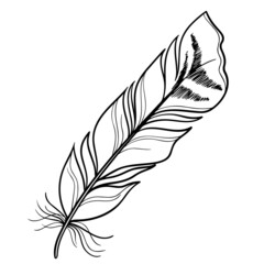 Obraz premium A bird's feather. Black outline of a bird's feather close-up on a white background. Vector graphics. Material for printing on paper or fabric.