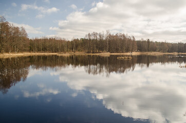 Fototapeta na wymiar Pond with reflection on a sunny spring day.