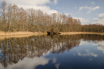 Pond with reflection on a sunny spring day.