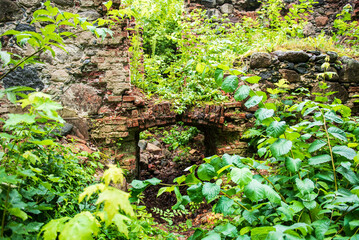 Obraz premium Ruins of Vecmoku manor in summer day, Latvia. 