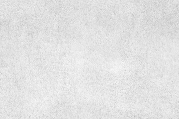 White wool seamless texture background. texture with short factory wool.