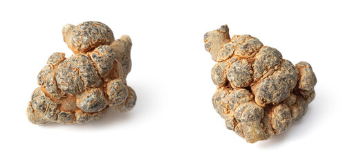 dried panax notoginseng isolated on whtie background