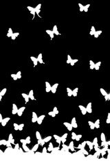 Fototapeta na wymiar white silhouettes of butterflies on a black background, vector pattern 
