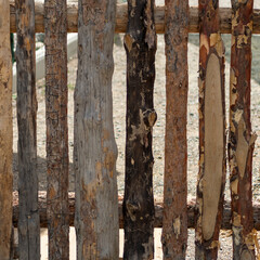 Eco fence made of logs of different trees. Untreated wood