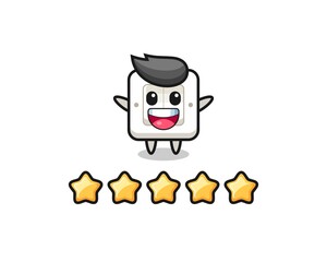 the illustration of customer best rating, light switch cute character with 5 stars