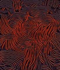 red and black lave flowing channels and patterns