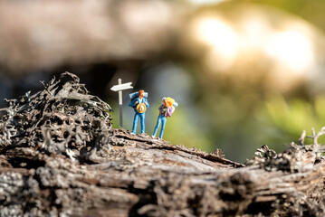 Couple of hikers at way sign in a forest