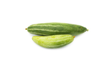 Raw hybrid pointed gourd vegetable on an isolated white background