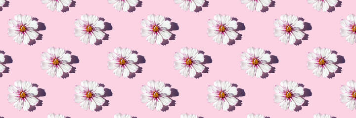 Trendy sunlight seamless pattern made with delicate flowers on pink background, as backdrop or texture. Minimal floral concept. Banner for your design