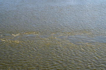 Polluted river. Danube River, Europe. Muddy brown water flows in nature. 