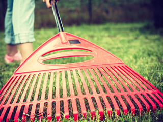 Woman using rake to clean up garden lawn