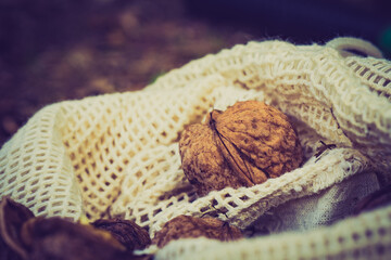 Walnut in burlap sack outside