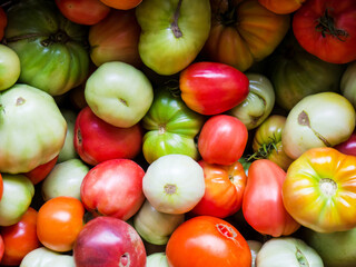Fresh tomatoes of different colors in a basket