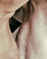 Naklejka premium Love and romance. Gay couple are resting at home on the bed.
