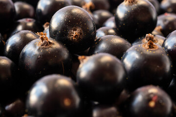 Background of black currants. Fresh berries closeup. Top view. Background of fresh berries. Various fresh summer fruits.  Background of blackcurrants. Antiviral treatment. Vitamin C
