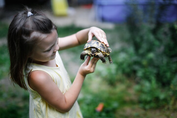 a child holds in his hands a land turtle among the grass, walking a pet in the park, in the backyard