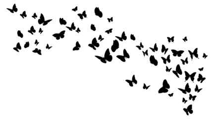 Fototapeta na wymiar Flying black silhouettes of butterflies.Vector design element 
