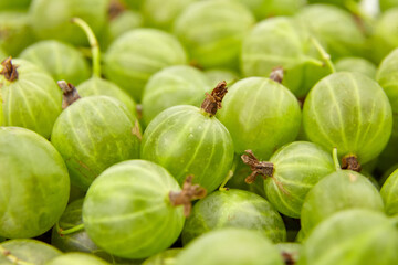 Goosebrry green berries food background. Ripe summer berries