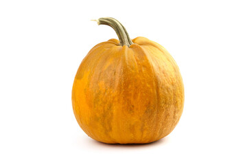 Pumpkin isolated on white background. Single whole ribbed pumkin